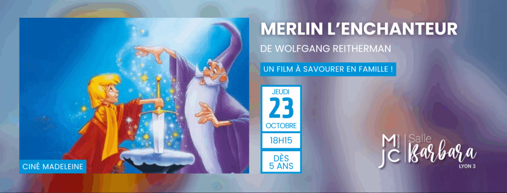 BANNIERE SITE MERLIN