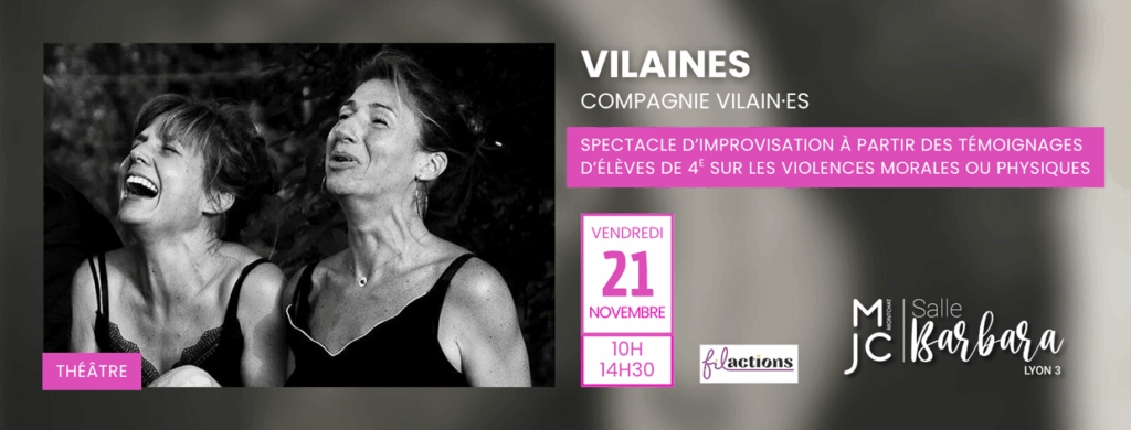 BANNIERE SITE VILAINES